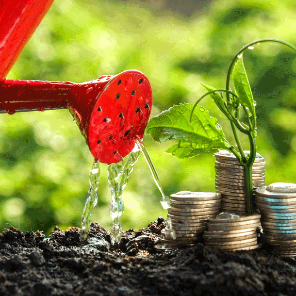 Bild Geld – Sorge – Seelenheil (Online-Workshop)