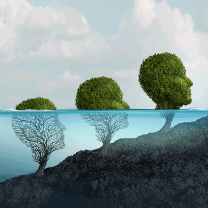 Bild Interessenkonflikte & Erfolgsstrategien in der Großen Transformation