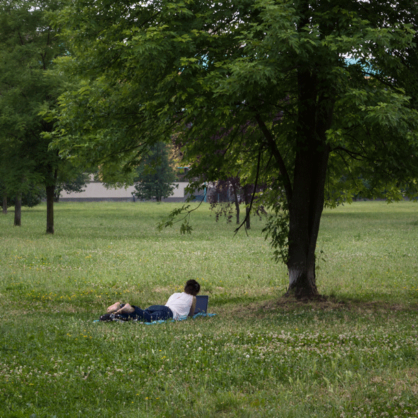 Bild Welche Hochschulen braucht unsere Gesellschaft?
