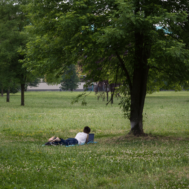 Bild Welche Hochschulen braucht unsere Gesellschaft?