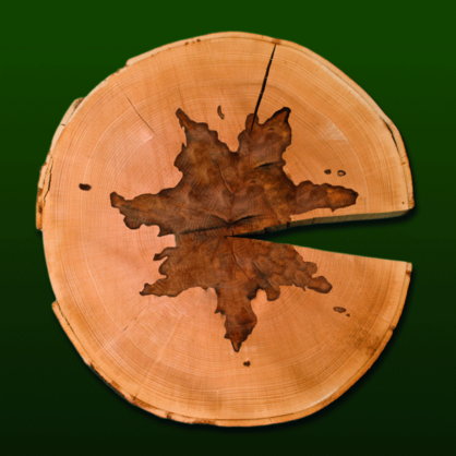 Bild Auf ins neue Holzzeitalter