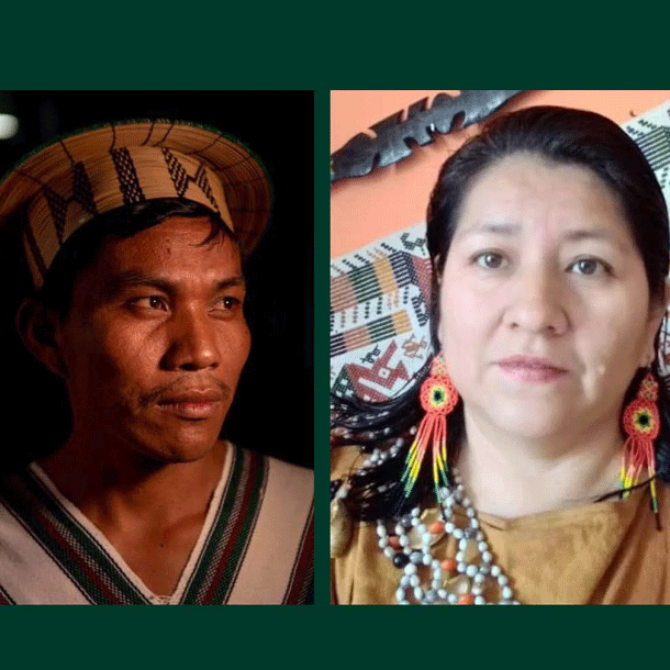 Bild Kametsa asaika – Kampf um den Regenwald