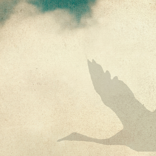 Bild Hinwege, Rückwege – Spurensuche im Werk von Iris Wolff