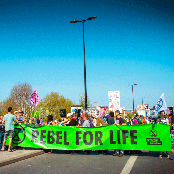 Bild Politischer Einfluss durch NGOs – Straße, Streik und digitaler Protest