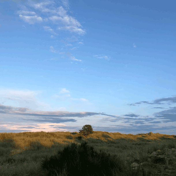 Bild Mehr oder weniger – oder weniger ist mehr…