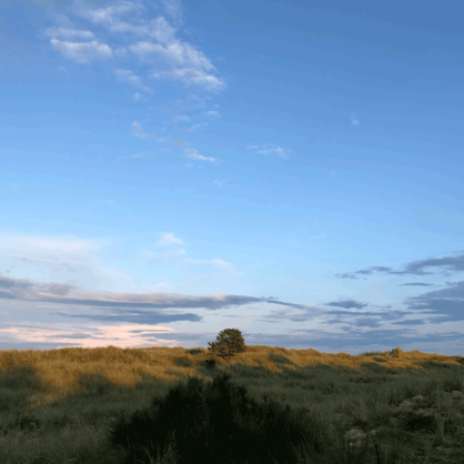 Bild Mehr oder weniger – oder weniger ist mehr …