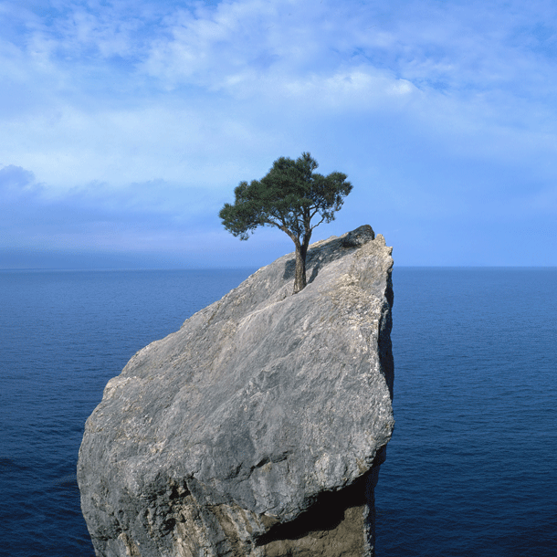 Bild Gesellschaftliche Risiken – Analyse und Gestaltung