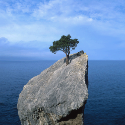 Bild Gesellschaftliches Risiko & Resilienz