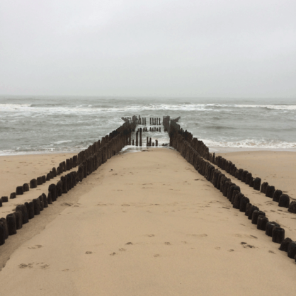 Bild Sozialverträgliches (Früh)Ableben?