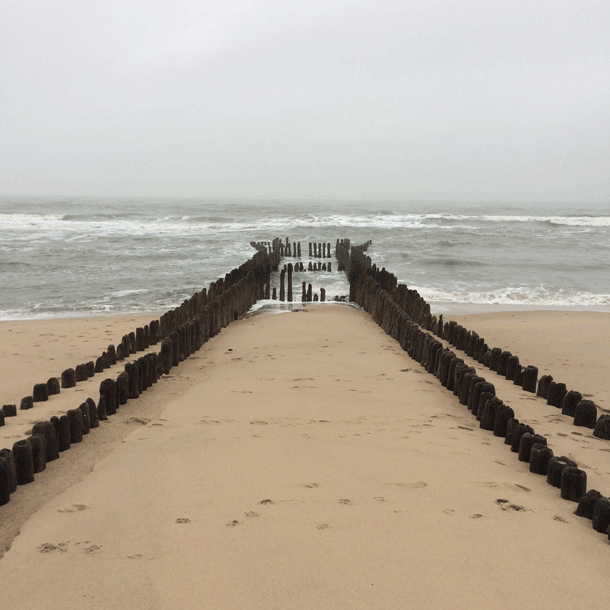 Bild Sozialverträgliches (Früh)Ableben?