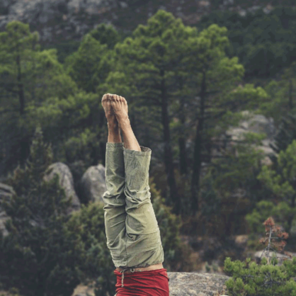 Bild Wald und Gesundheit