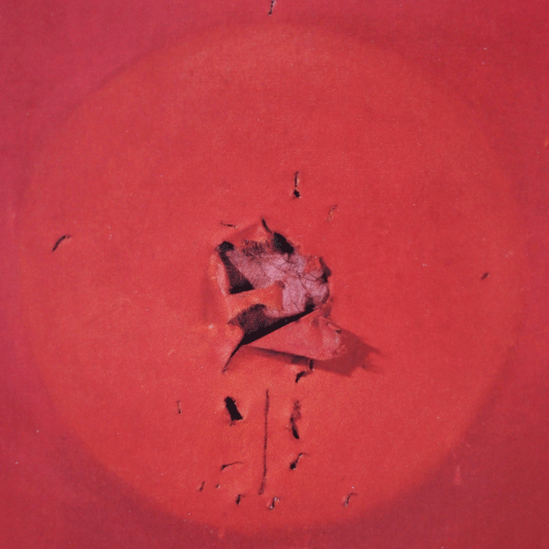 Bild Ein Fest mit Wunde(r)