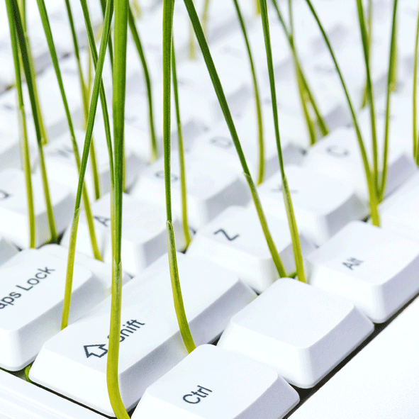 Bild Zukunfts-Lab: GreenTech, Digitalität, Umweltpolitik & Ethik