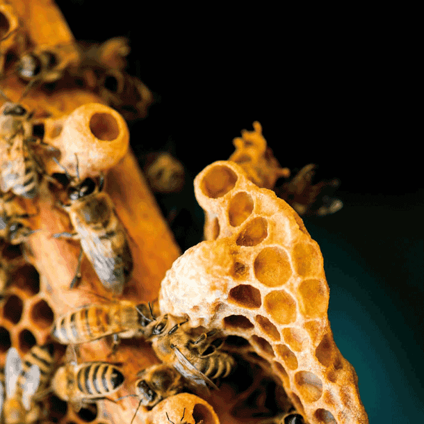 Bild Zusammenhalt. Die Stadt als Lebensform