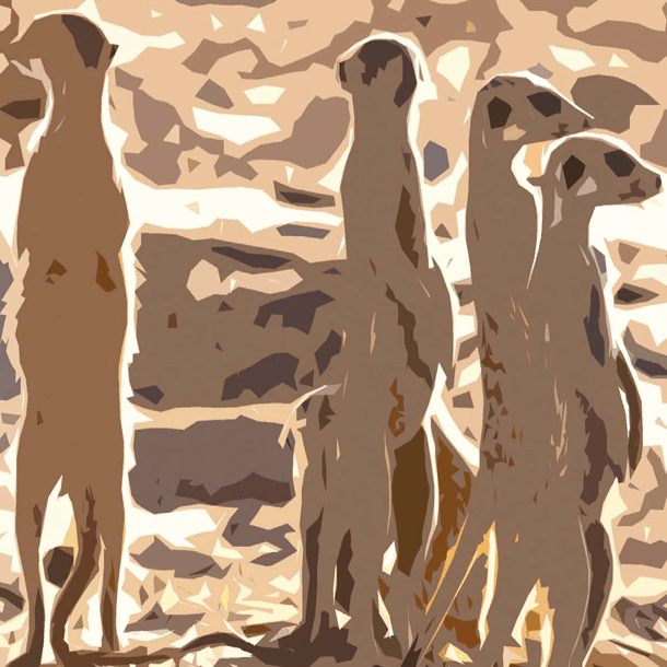 Bild Zugehörigkeiten – Was Betriebe zusammenhält