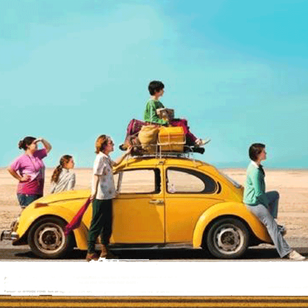 Bild Film des Monats: Der wundersame Katzenfisch