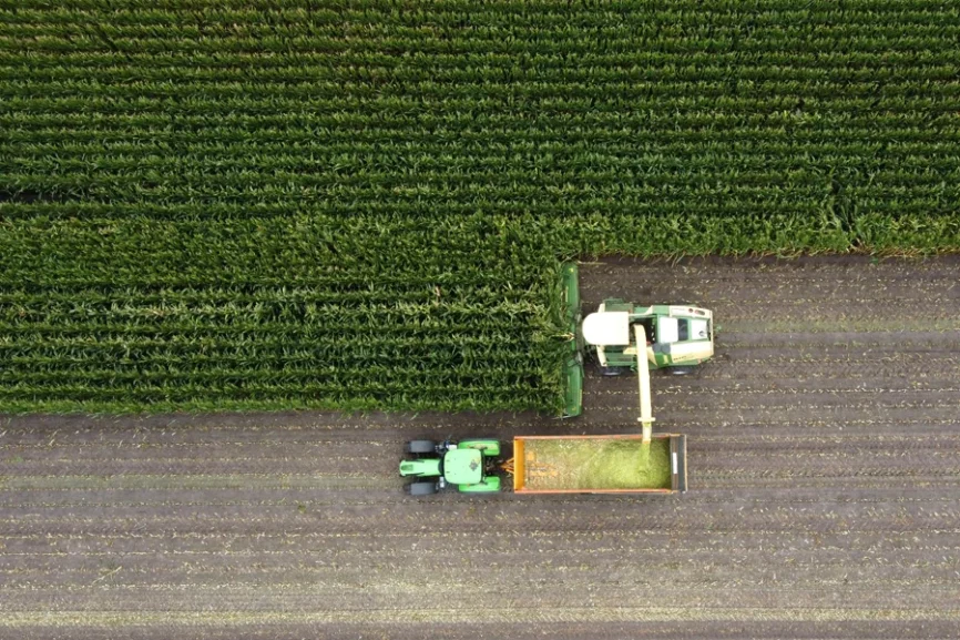 Ernte eines Maisfelds