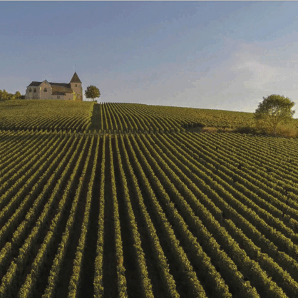 Bild Champagne – Die Genussregion Frankreichs erleben