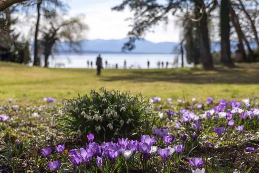Frühling im Schlosspark
