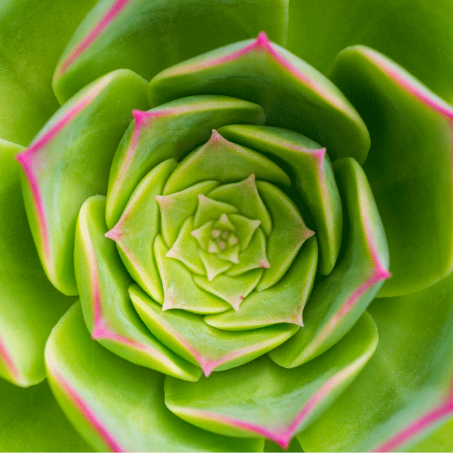 Bild Sinnerfüllt leben in Krisenzeiten