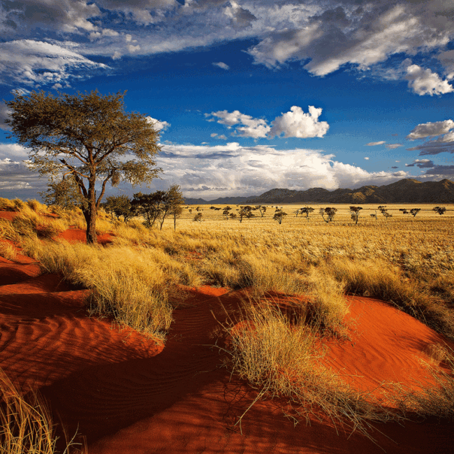 Bild Studienreise Namibia