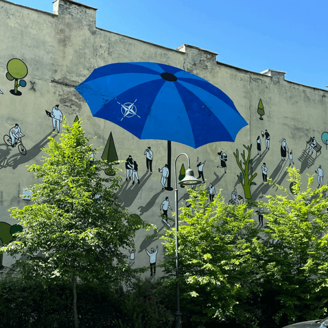 Bild Bedroht und geschützt – Das Baltikum als Seismograph für Europa