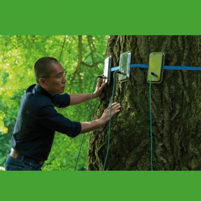 Bild Film des Monats – Silent Friend