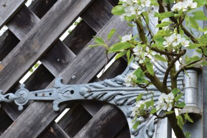 Detail Tür Schlosspark
