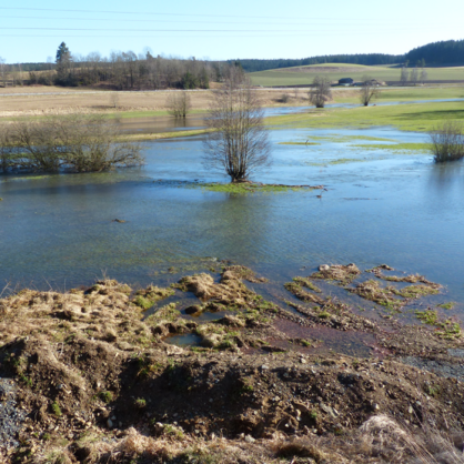 Bild Schwammland