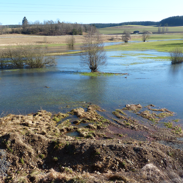 Bild Schwammland