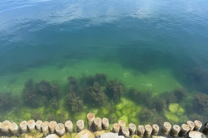 Wasser Starnberger See